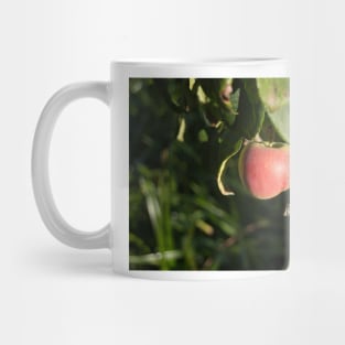 alb red apple Mug